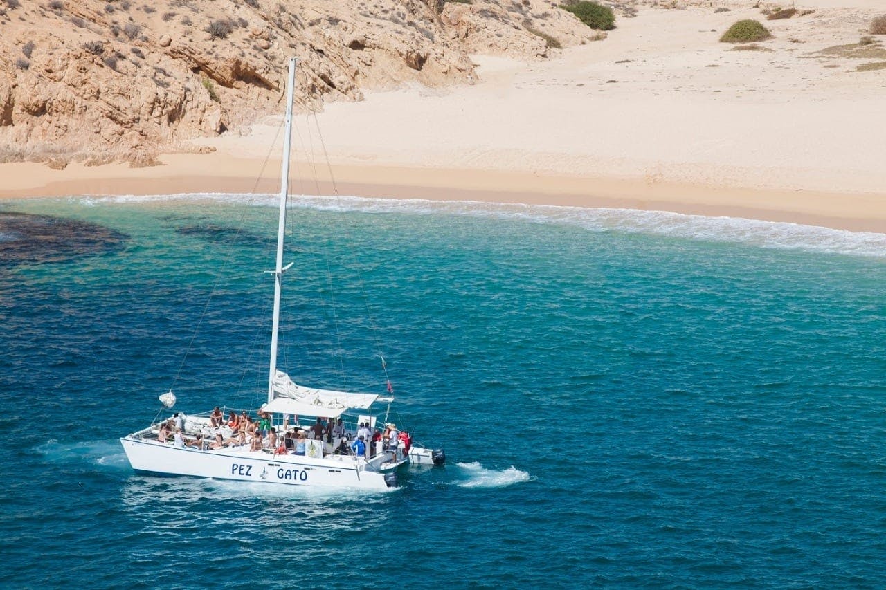 Crucero de fiesta en catamarán Pez Gato desde Cabo