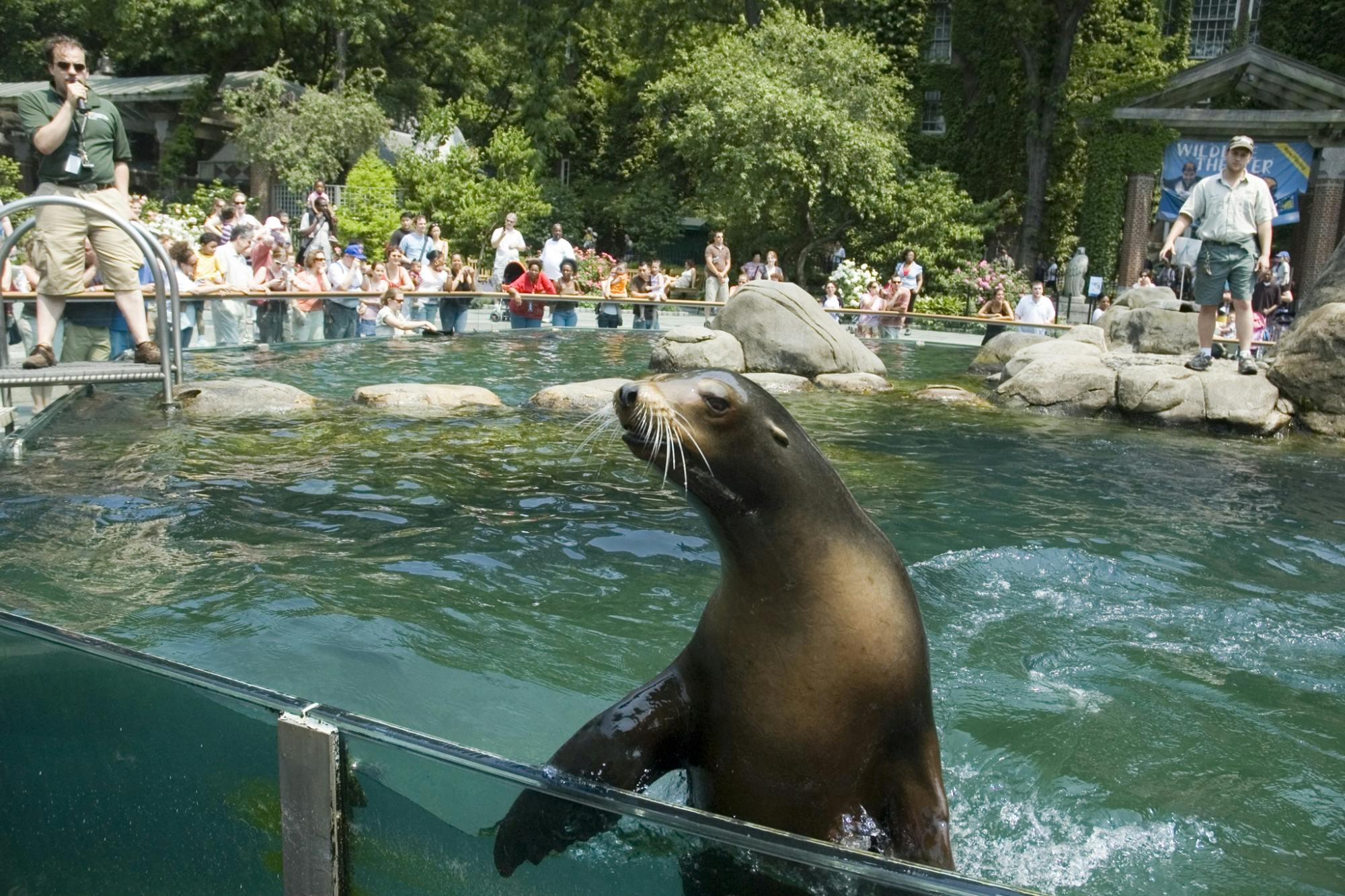 Rundgang durch den Central Park Zoo und Manhattan