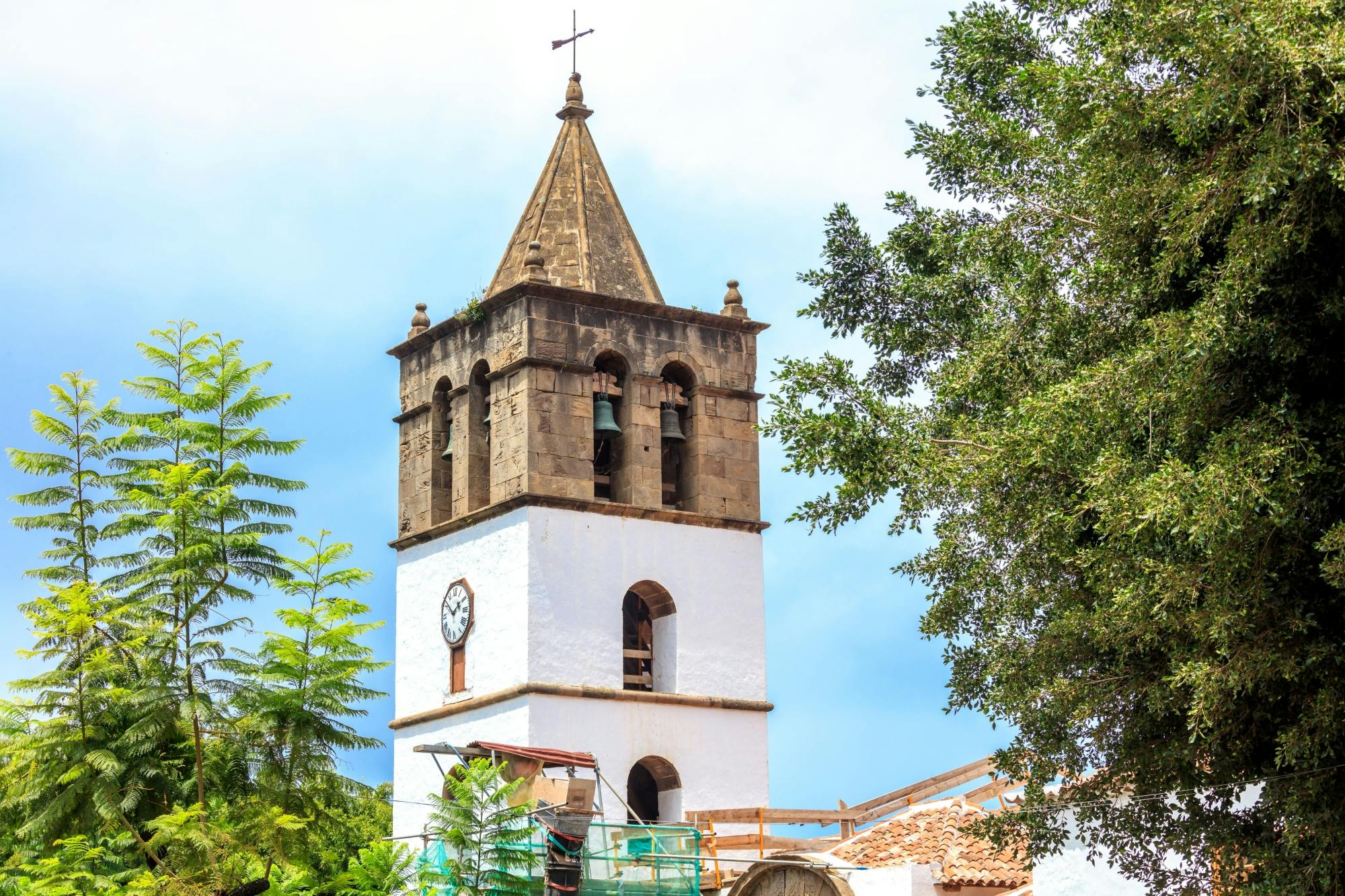 North Tenerife Guided Tour with Local Lunch