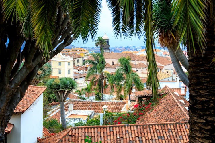 North Tenerife Guided Tour with Local Lunch