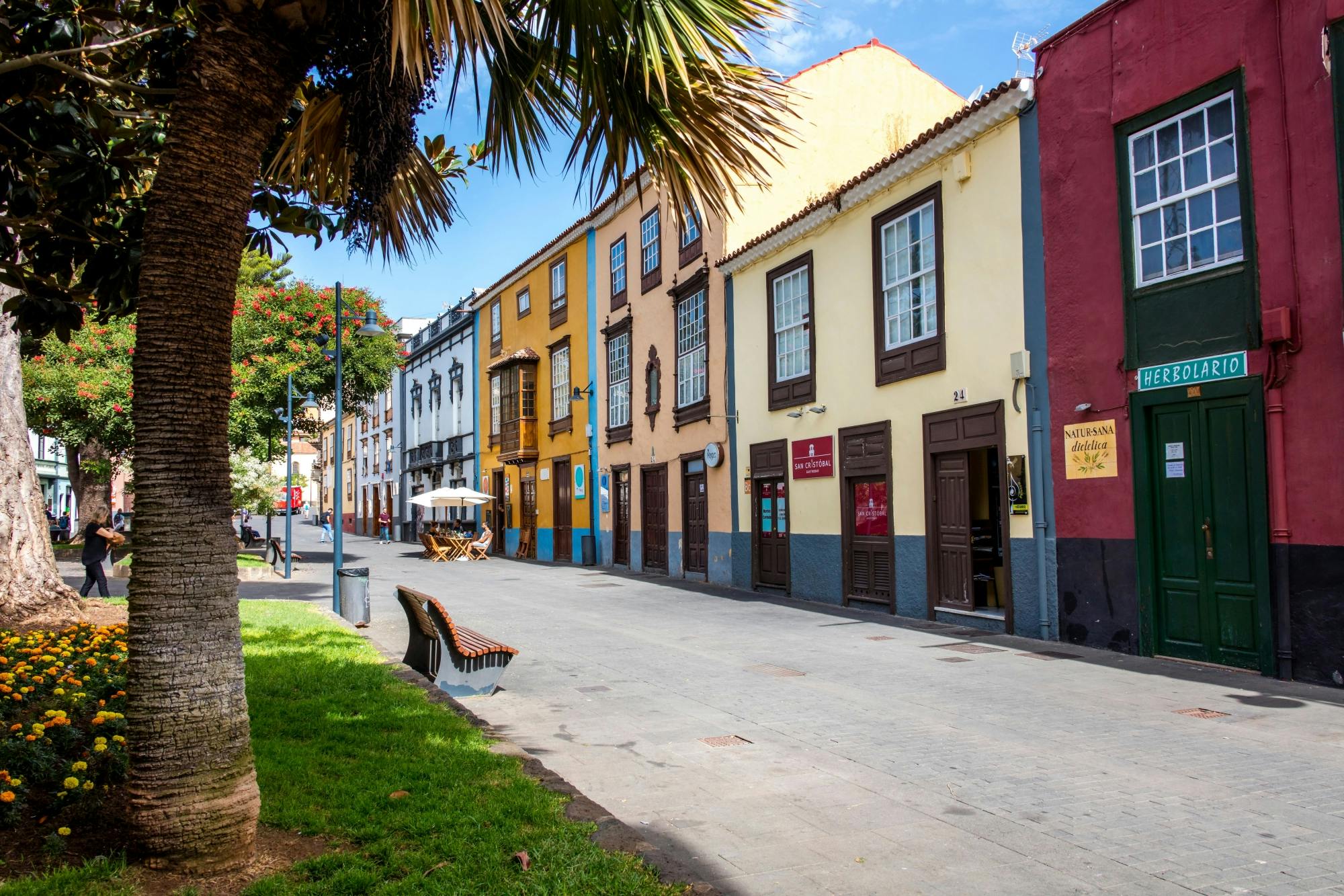 Visita Guiada a La Laguna, Almuerzo Canario y Cata de Vinos