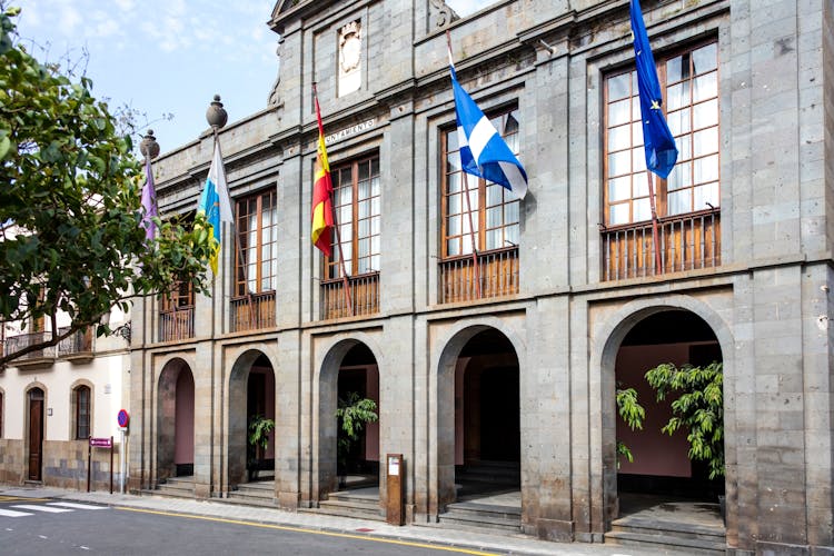 Guided Tour of La Laguna, Canarian Lunch and Wine Tasting