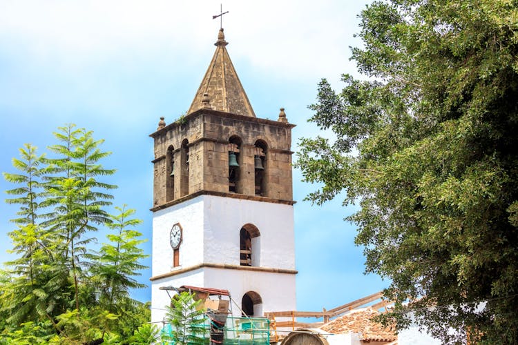 North Tenerife Guided Tour with Local Lunch