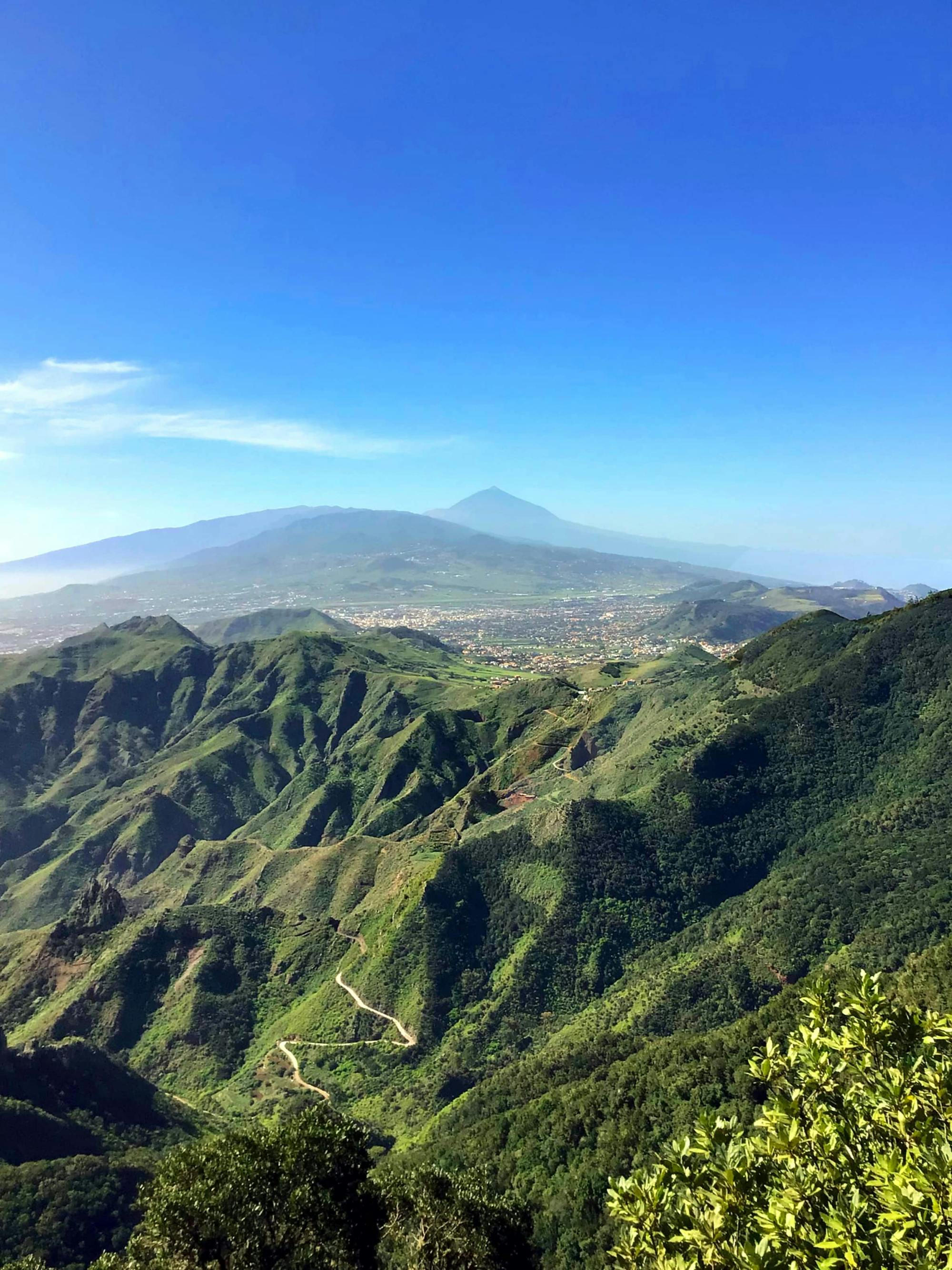 Guided Tour of La Laguna, Canarian Lunch and Wine Tasting