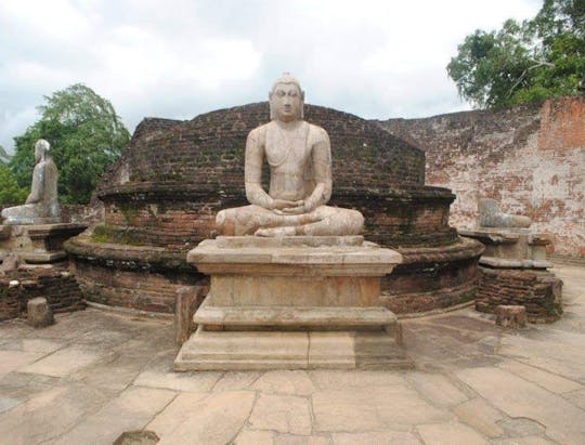 Oud Polonnaruwa en Minneriya Park Safari Tour vanaf de Oostkust