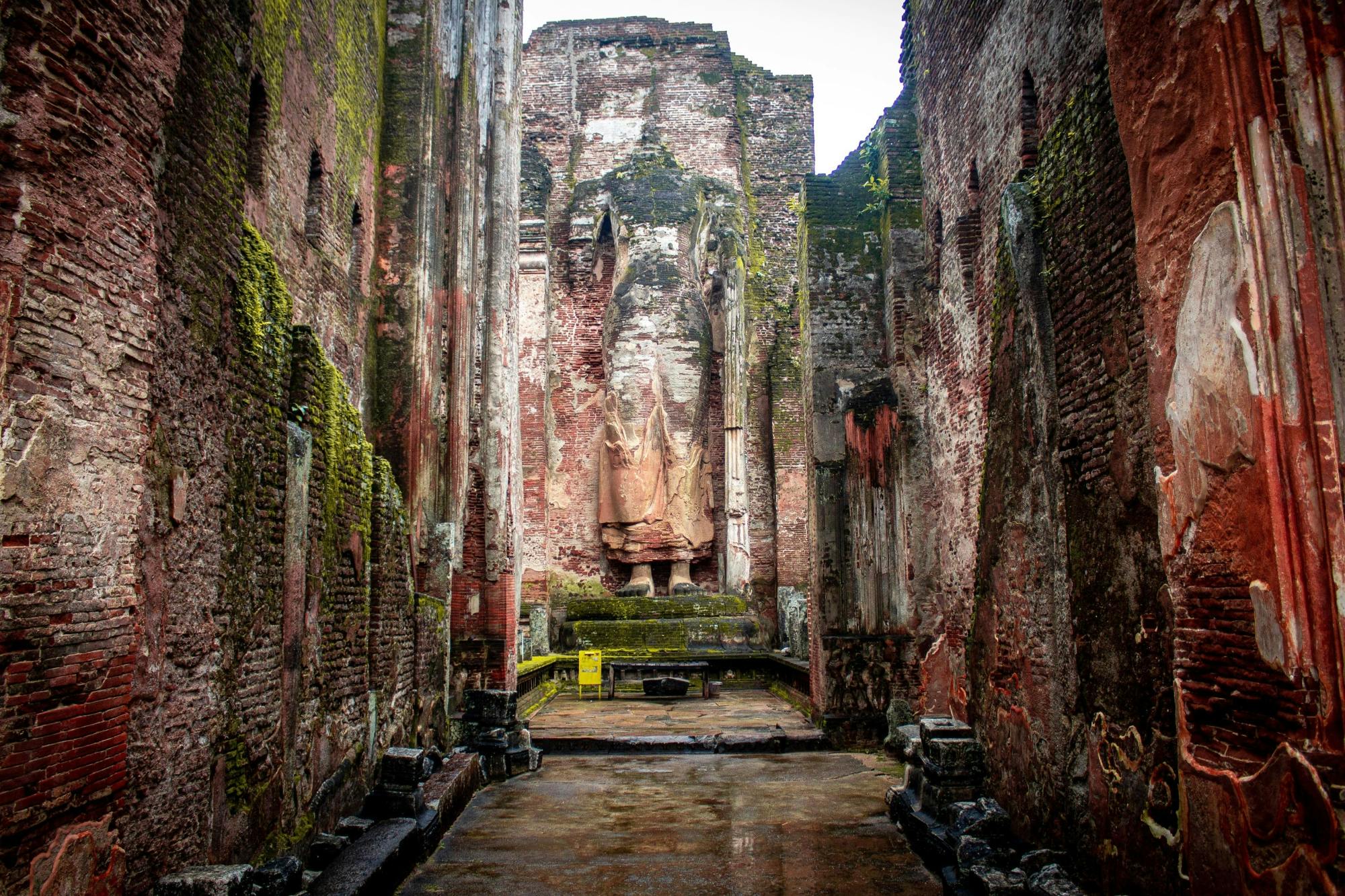 Ancient Polonnaruwa and Minneriya Park Safari Tour from the East Coast