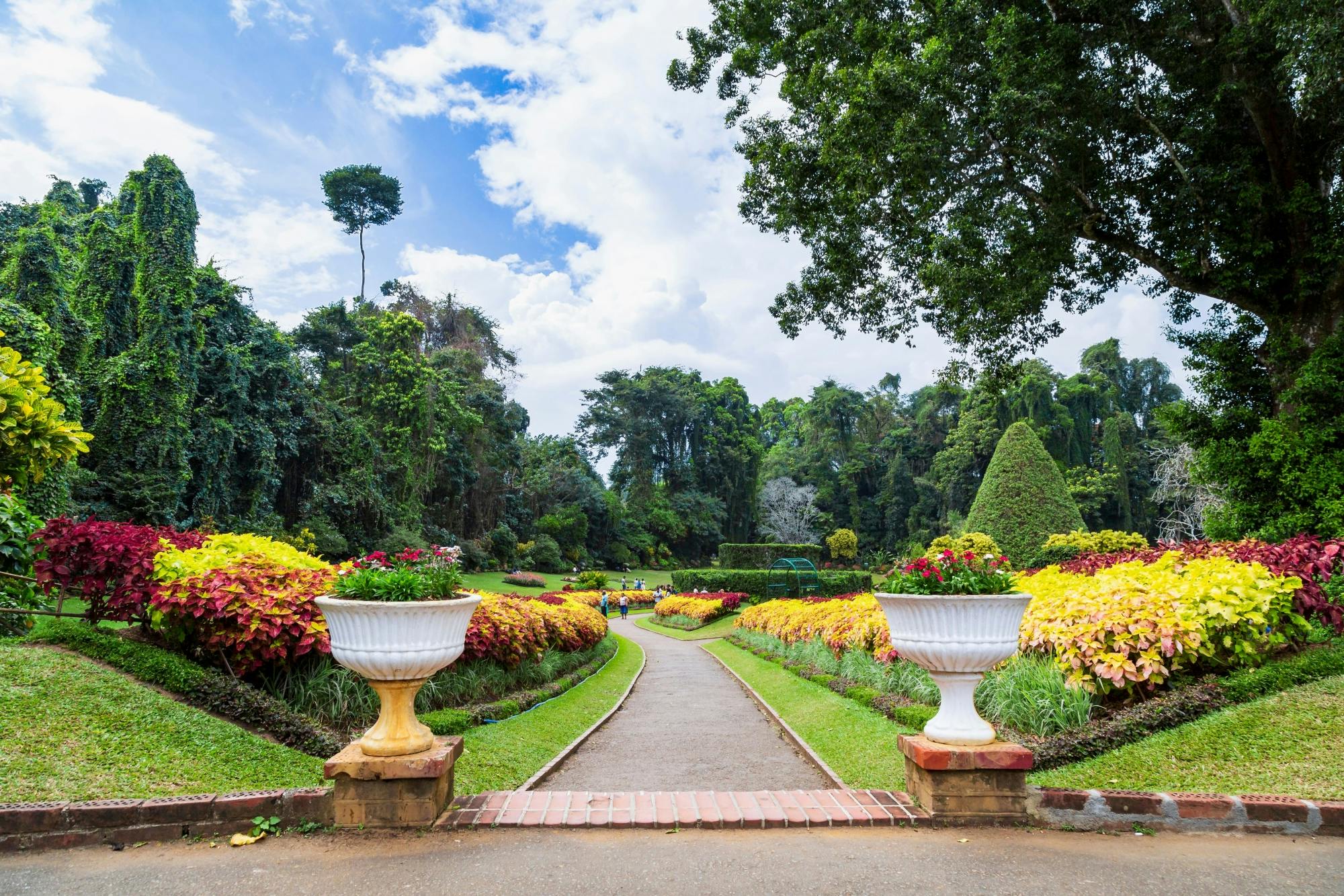 Kandy, Ella, Yala Park Safari and Galle Four-day Tour