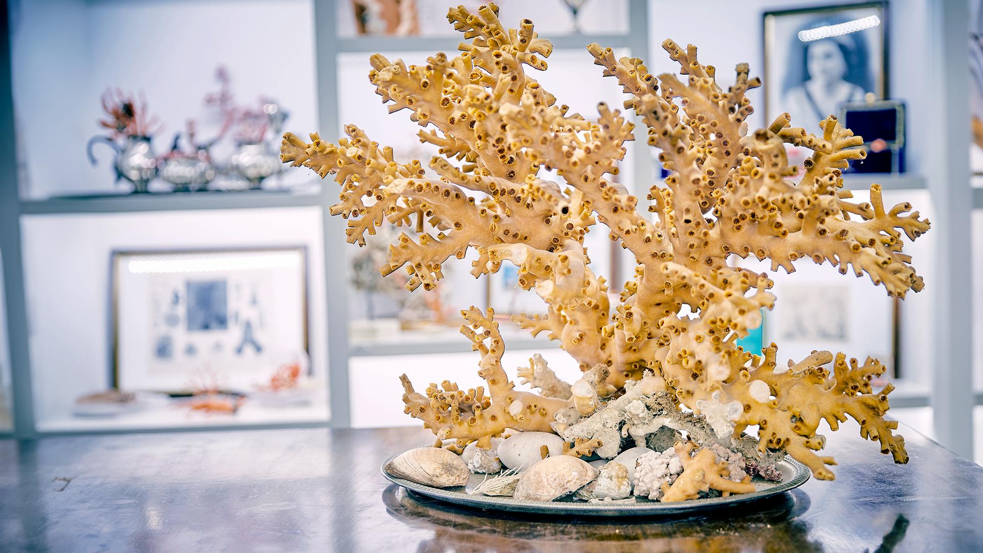 Coral Workshop Experience met een bezoek aan het museum in Sciacca