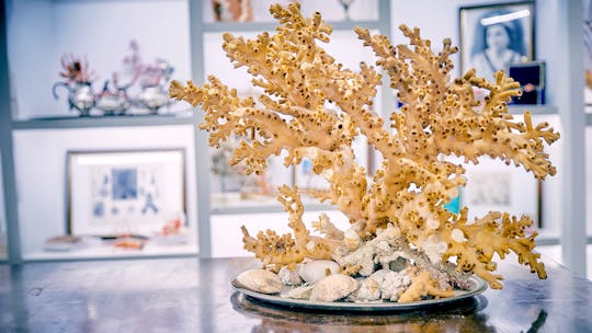 Korallen-Workshop-Erlebnis mit Museumsbesuch in Sciacca