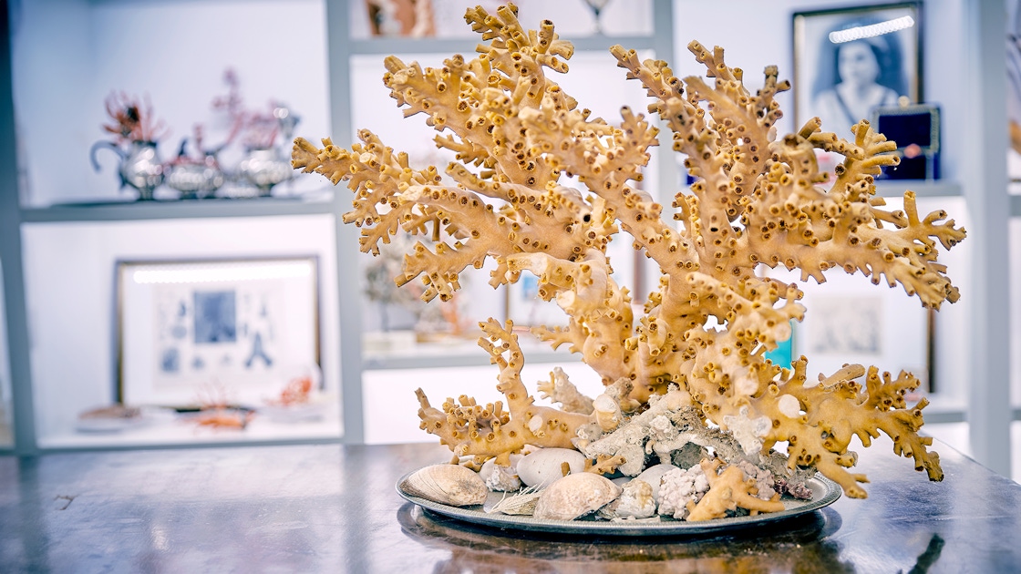 Classes & workshops in Sciacca | musement