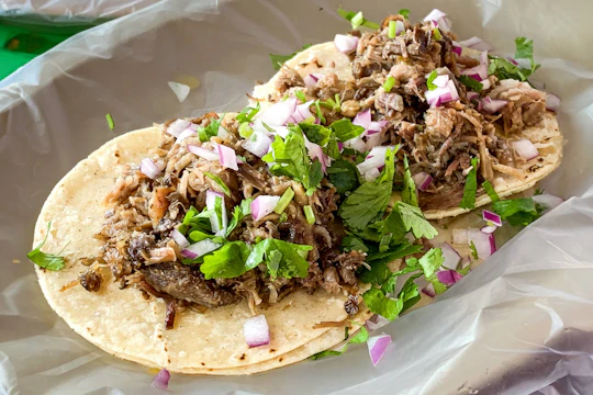 Downtown Puerto Vallarta taco tasting E-bike tour