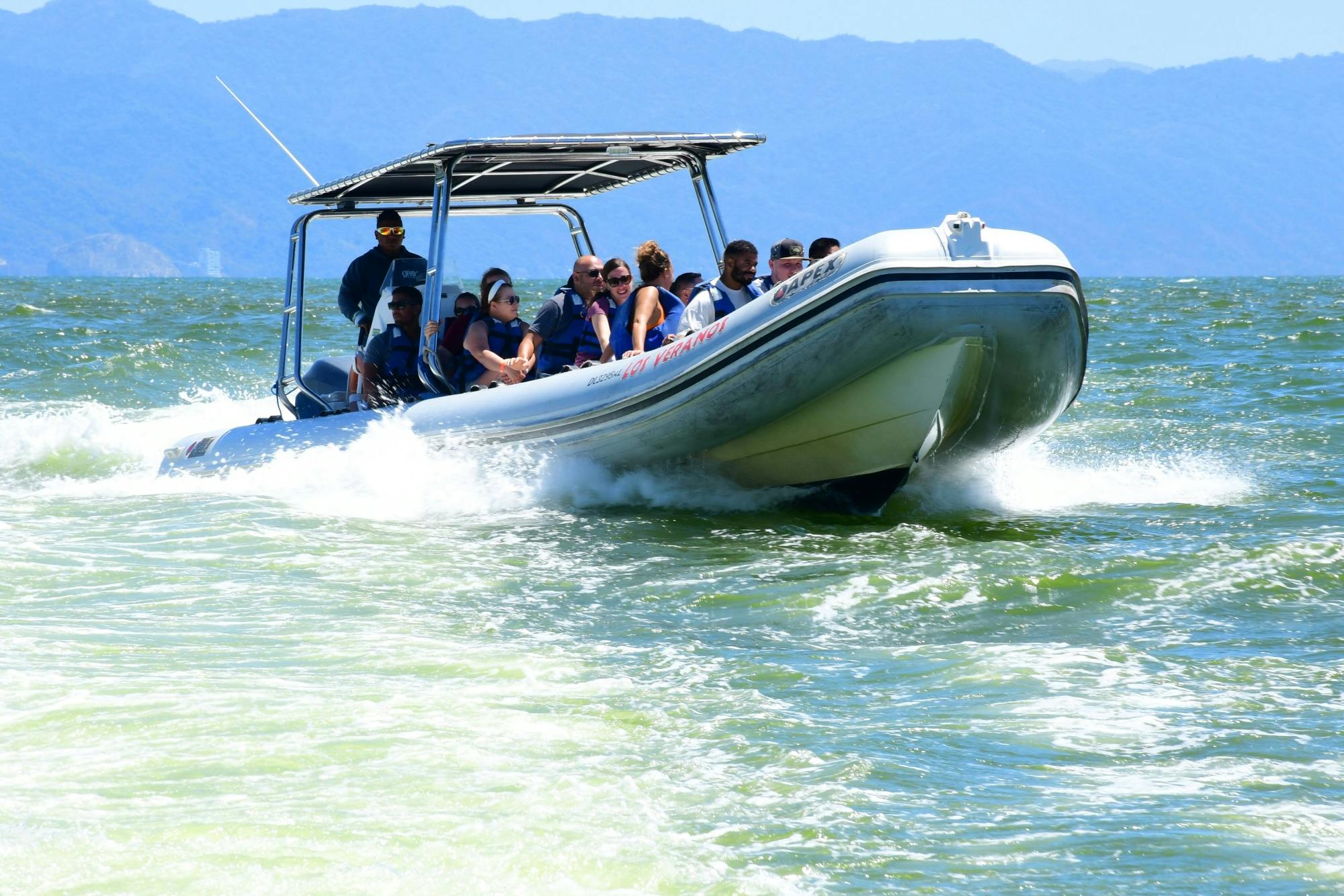 Banderas Bay Whale Watching Speedboat Tour with Marine Specialist