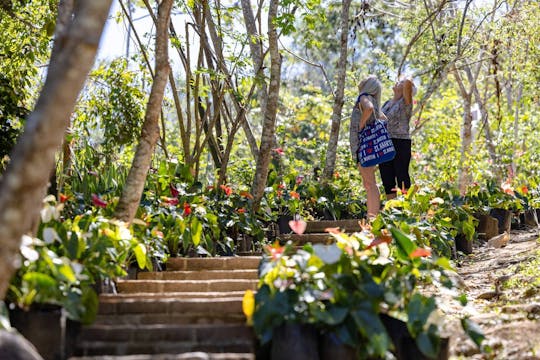 Avonturenpark Los Veranos met rivierwandeling en botanische tuin
