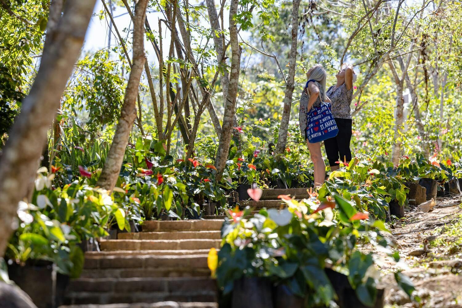 Parque de aventuras Los Veranos con senderismo por el río y jardín botánico