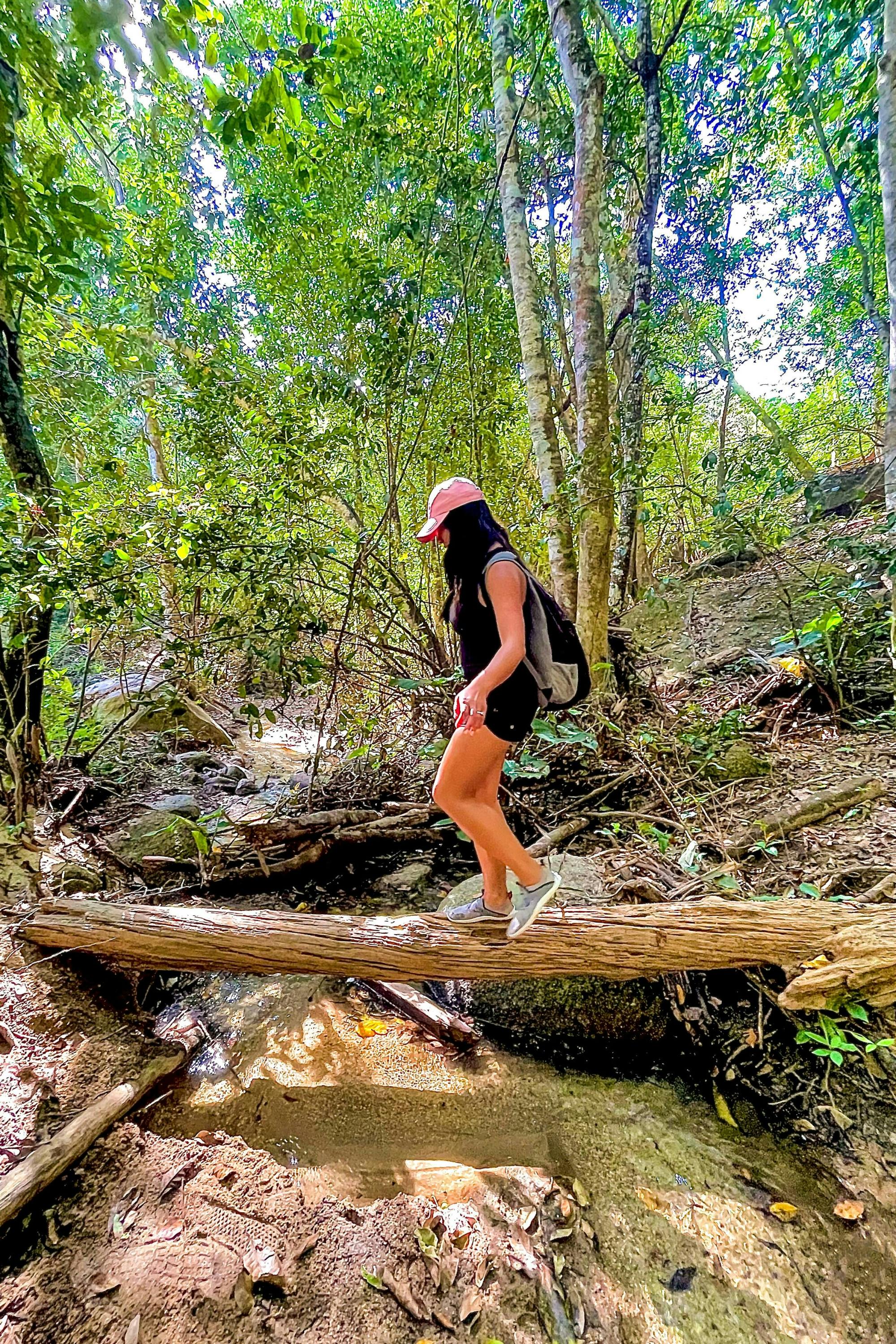 Los Veranos Adventure Park with River Hiking & Botanical Garden