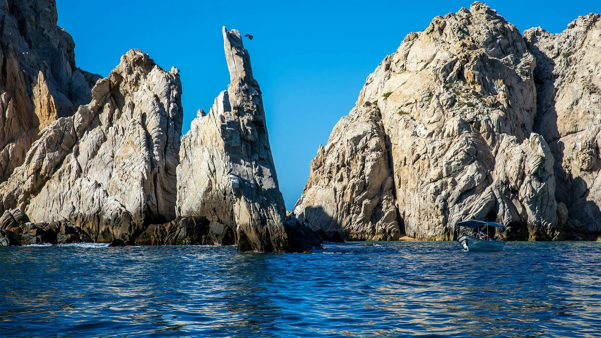 Cabo San Lucas Glass-Bottom Boat Cruise