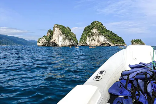 Canopy Zip Line at Los Veranos