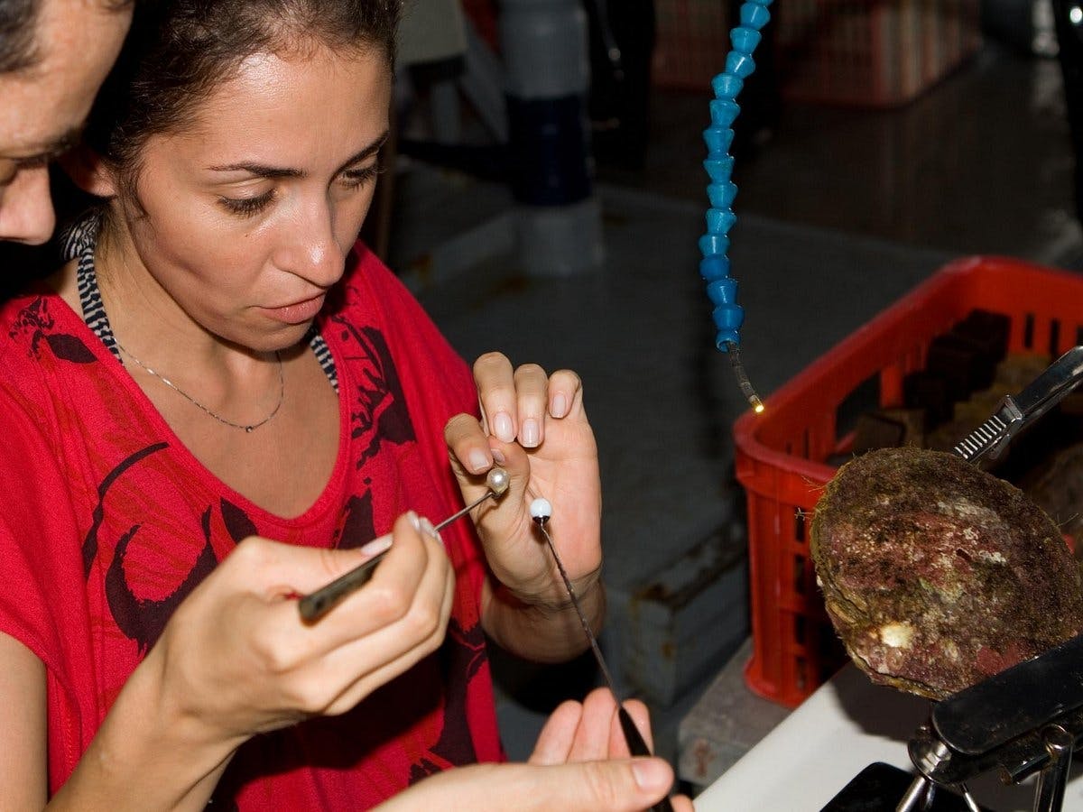 Seawater pearl farm guided tour in Lombok