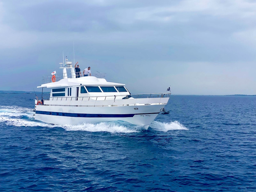 Cruises in Limassol Cruises in Limassol