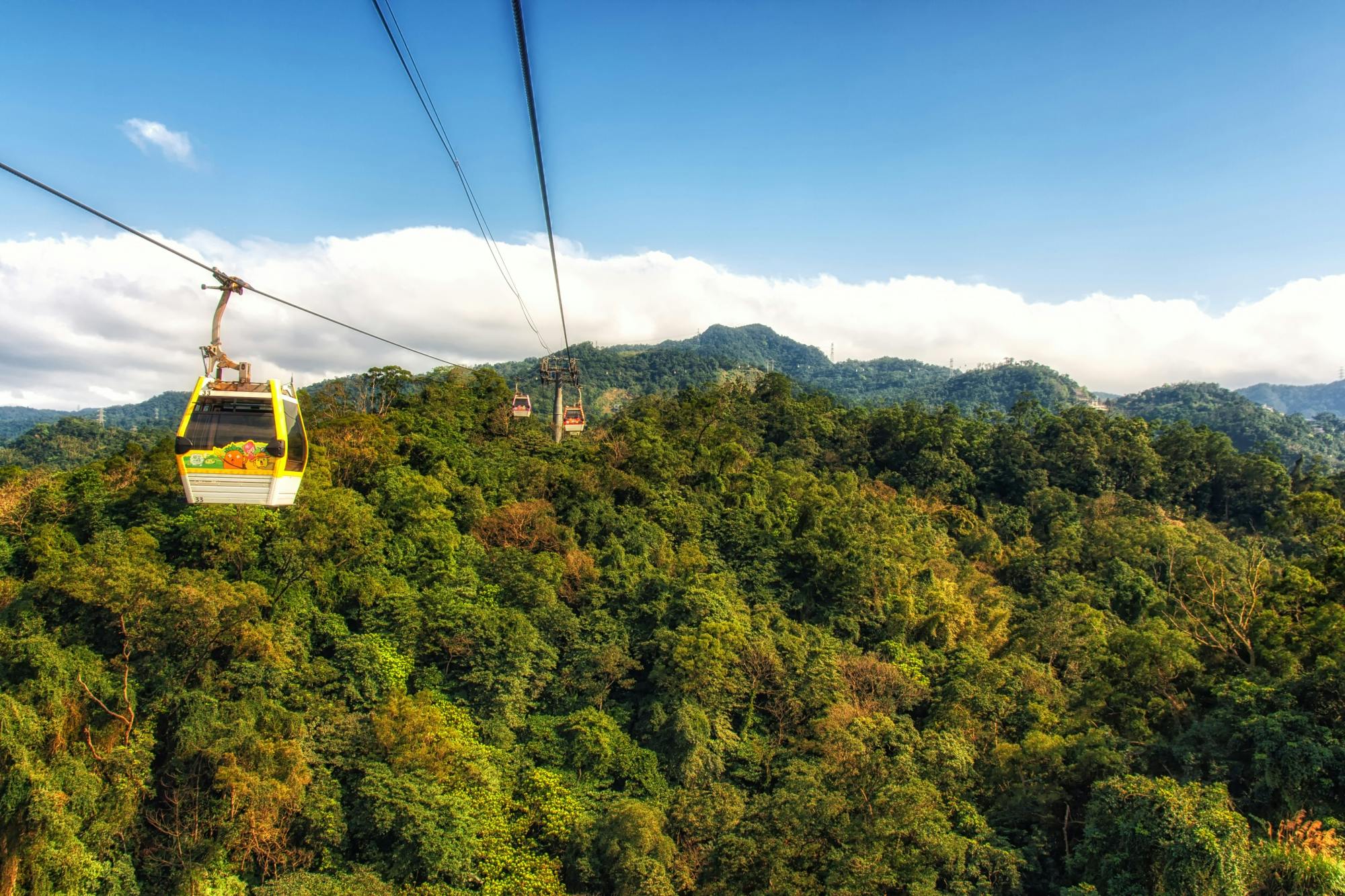 Pinglin-theecultuur en Maokong-dagtour vanuit Taipei