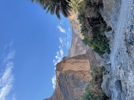 Private day tour to Wadi Nakhar, villages and oasis