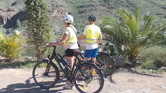 Tour panoramico in montagna in e-bike con degustazione di tapas