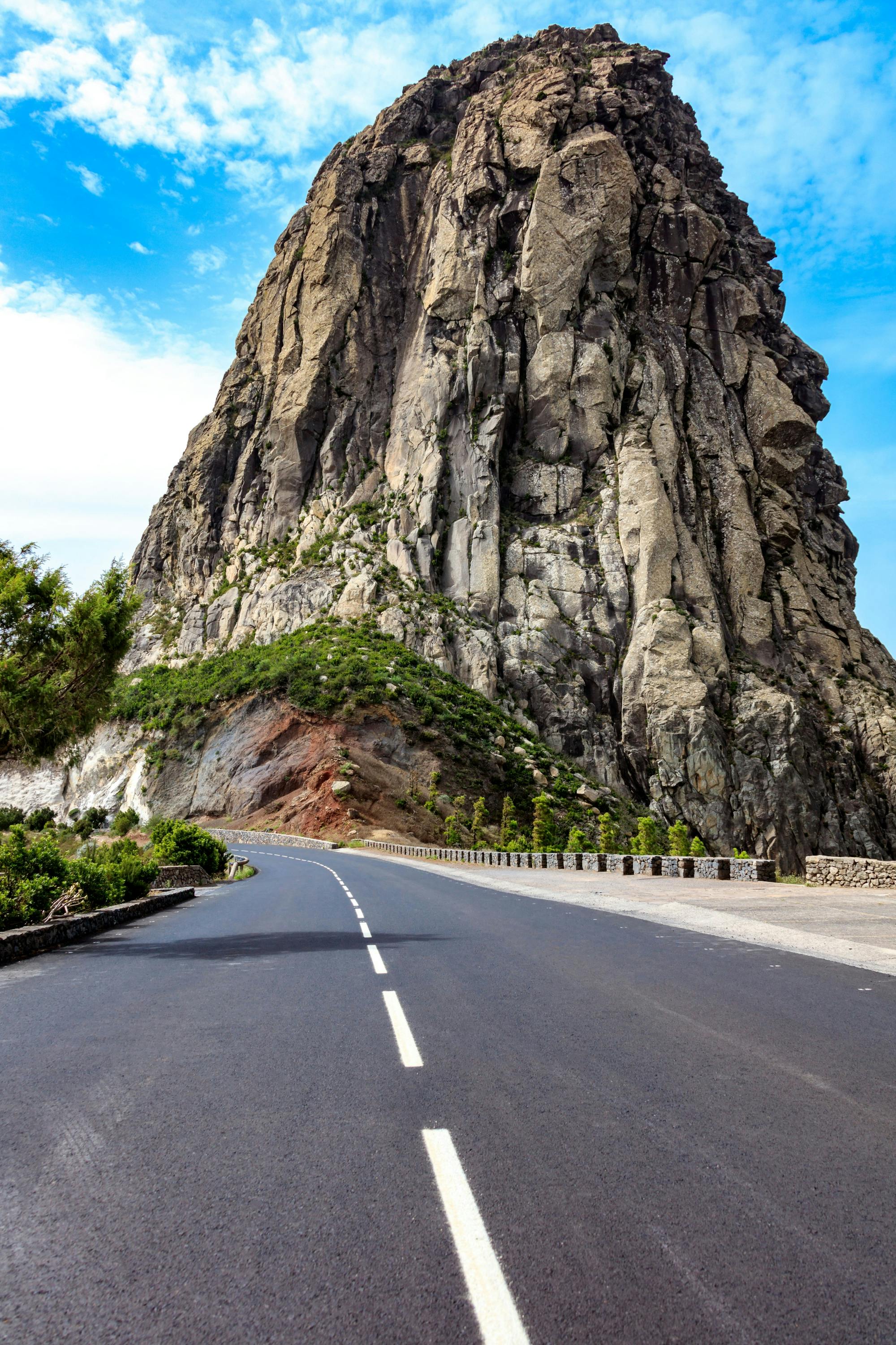 Garajonay National Park Tour with Local Lunch