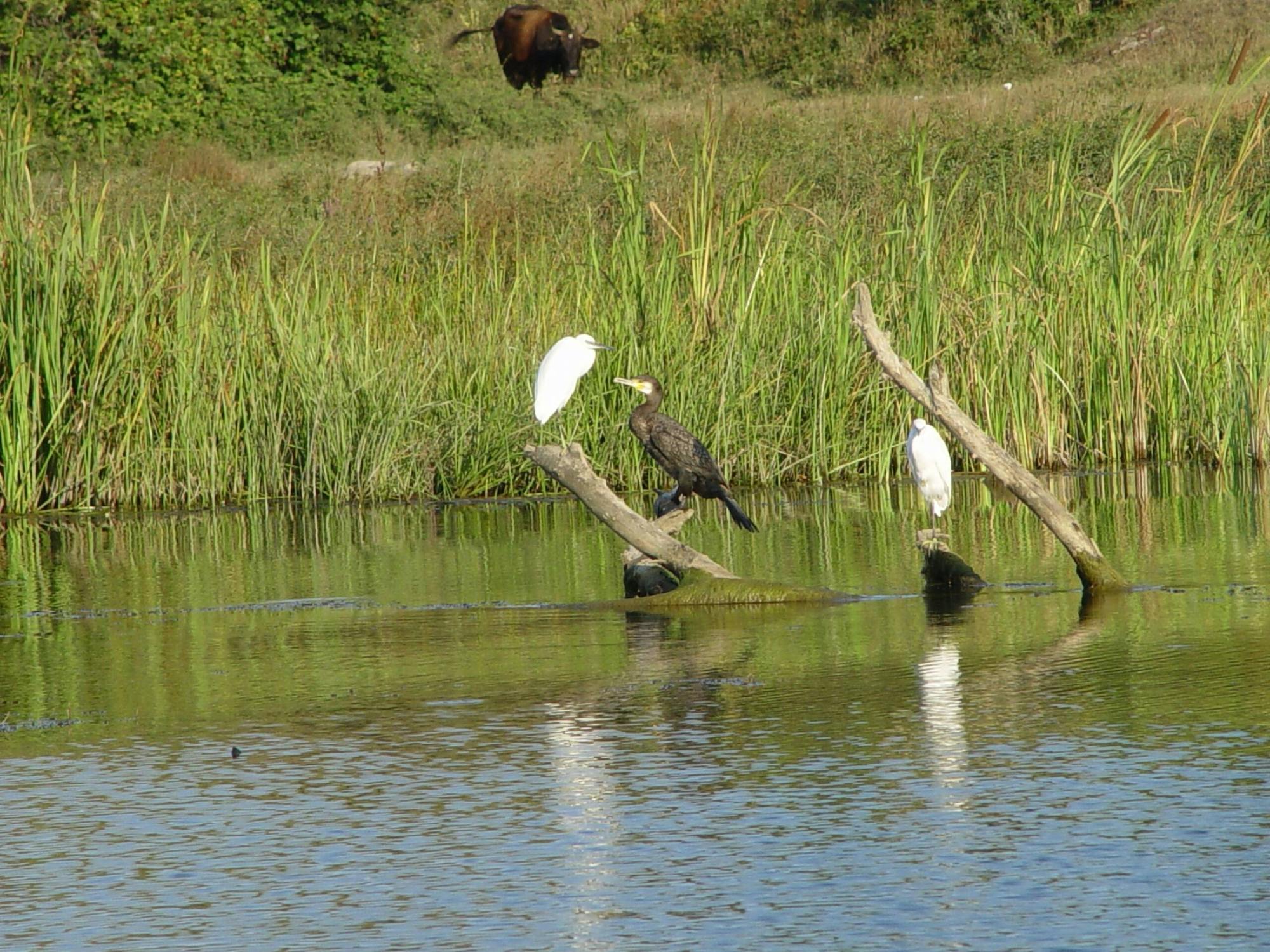 Veleka Valley Boat Tour