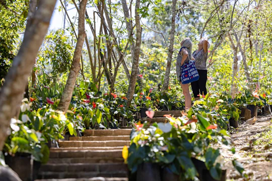 Los Veranos Adventure Park with river hiking and botanical garden