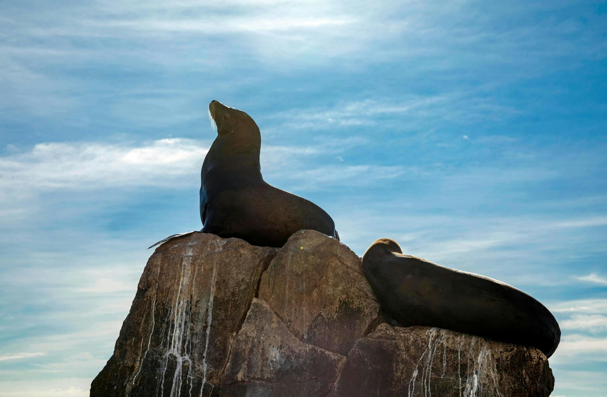 Cabo San Lucas City Tour with Boat Trip