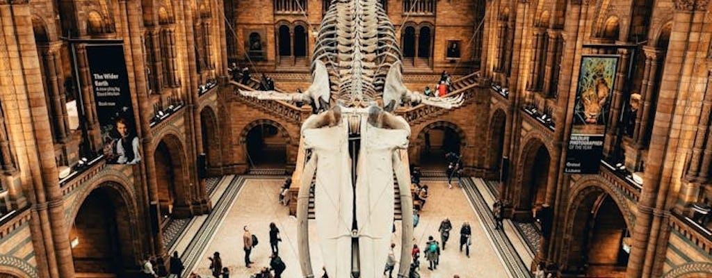 Ticket für das Naturhistorische Museum und selbstgeführte Audiotour auf Deutsch