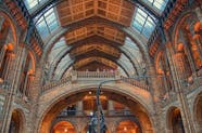 Natural History Museum Ticket And Self Guided Audio Tour In Spanish 