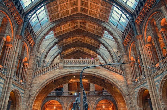 Entrada al Museo de Historia Natural y audioguía autoguiada en español