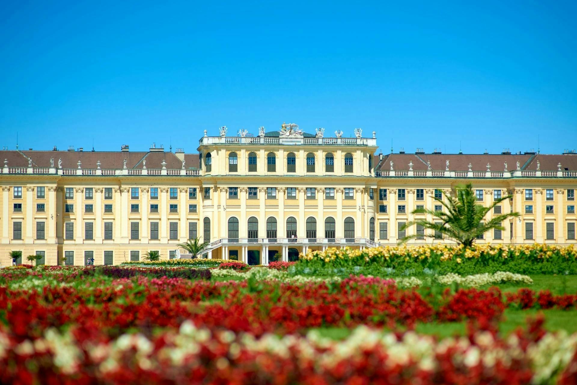 Palacio y jardines de Schönbrunn sin colas y con guía en italiano