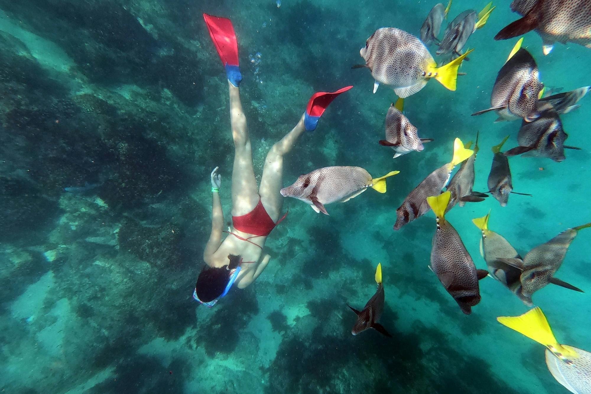 Los Cabos Strand Morgen Tour