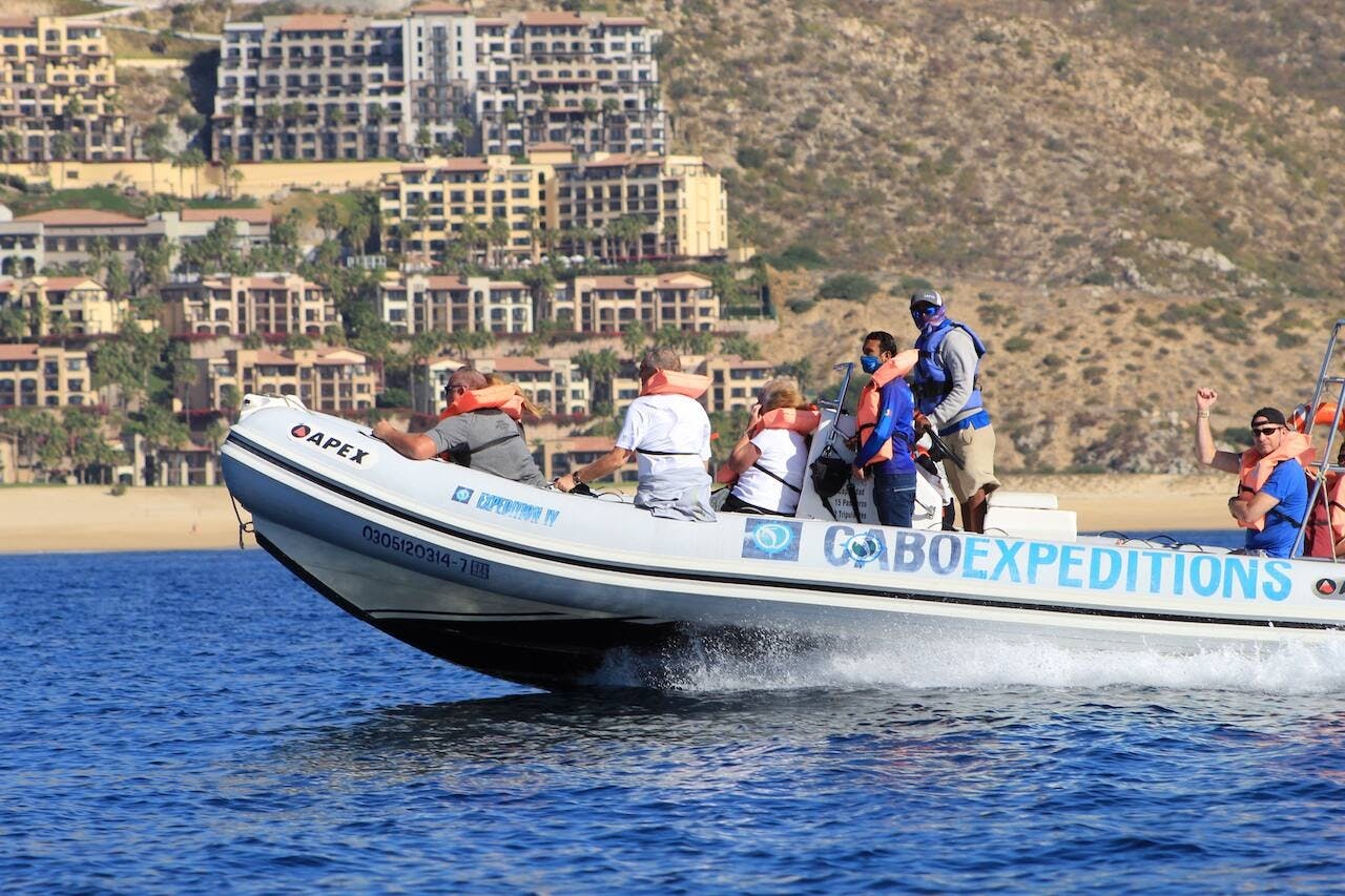 Excursion en zodiac à Los Cabos avec plongée en apnée