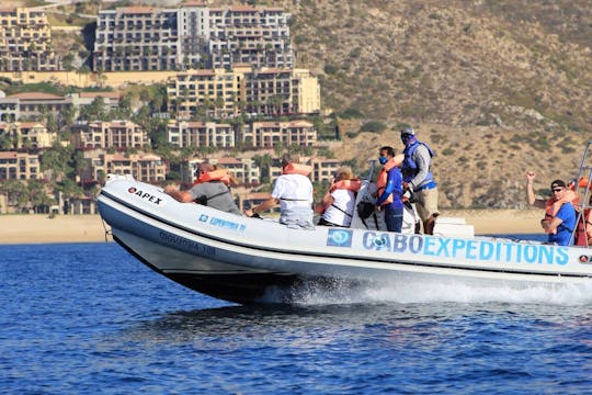 Los Cabos Zodiac Boat Tour z nurkowaniem