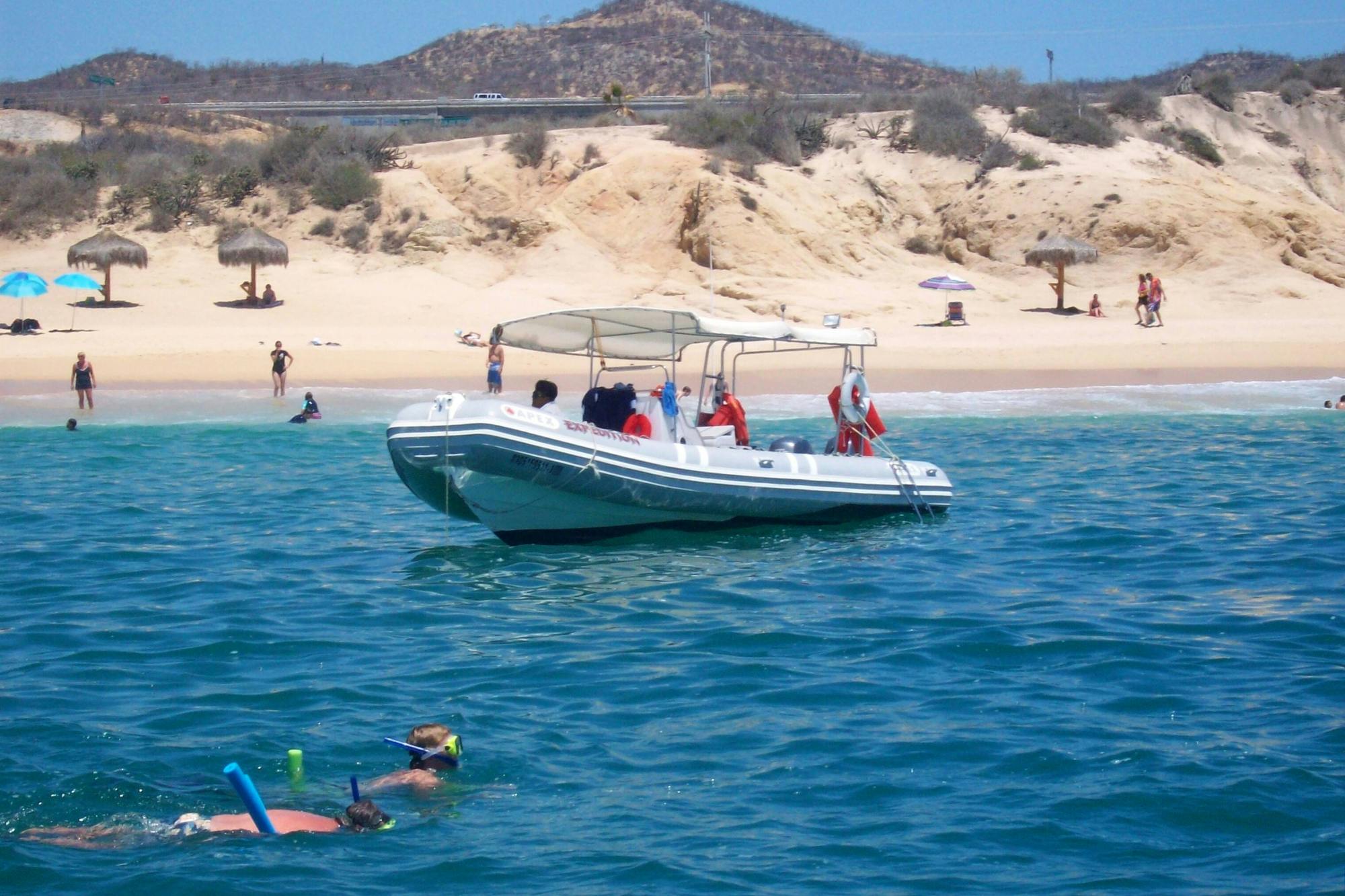 Los Cabos Zodiac Boat Tour with Snorkelling