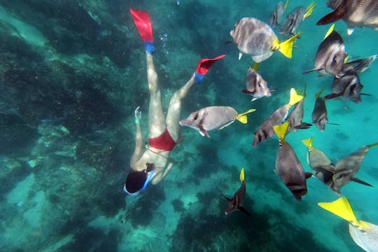 Los Cabos Beach Morning Tour