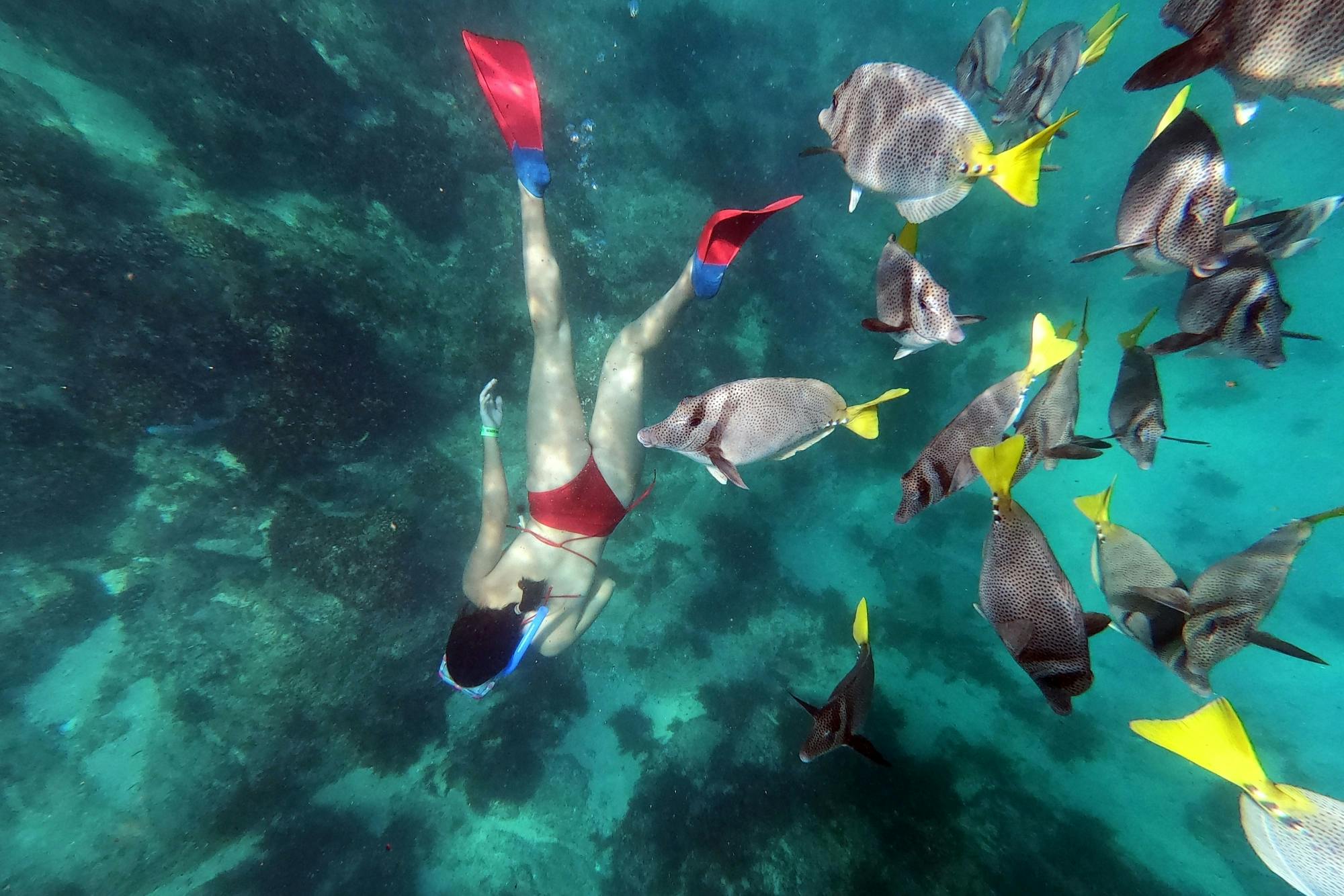 Los Cabos Zodiac Boat Tour with Snorkelling