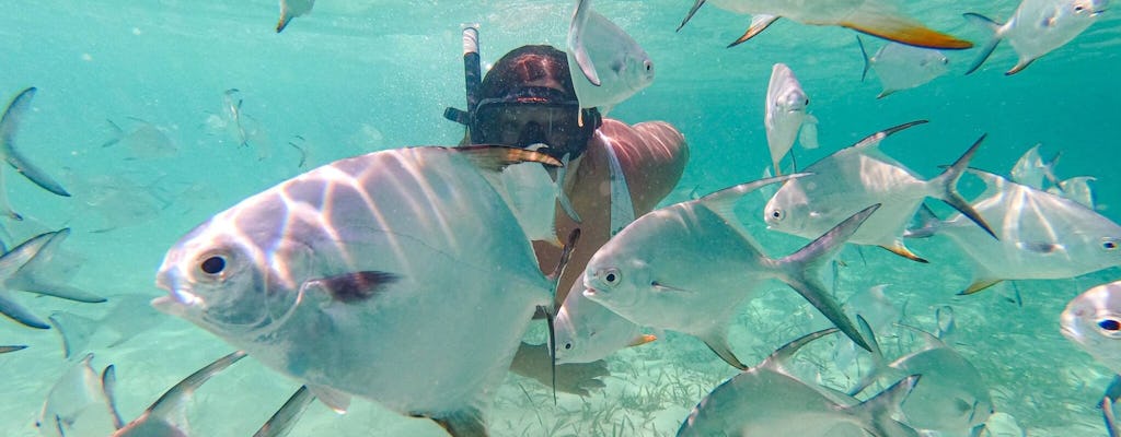 Punta Cana coral reef restoration and snorkelling experience