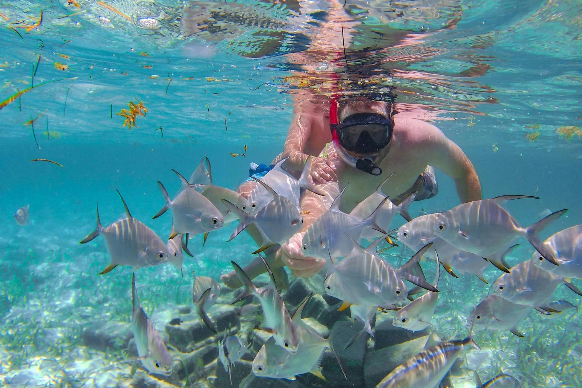 Punta Cana Coral Reef Restoration & Snorkelling Experience