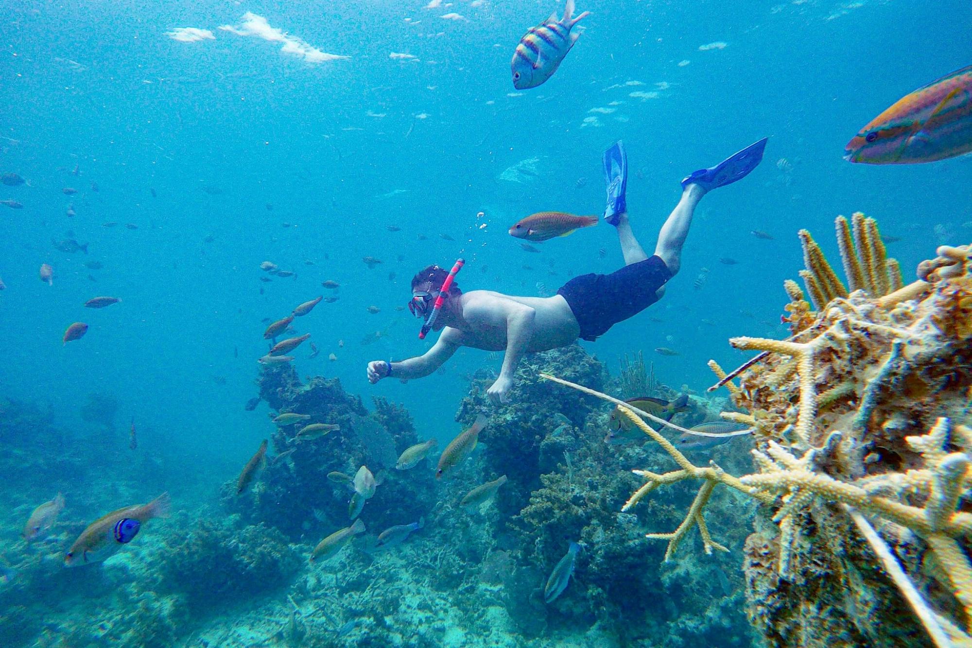 Punta Cana Coral Reef Restoration & Snorkelling Experience