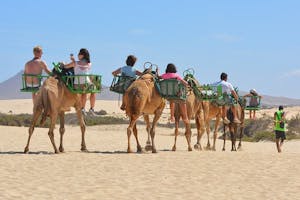 City Tours in Gran Canaria