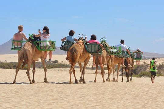 Visite de la ville en vélo électrique et expérience des dunes de Maspalomas