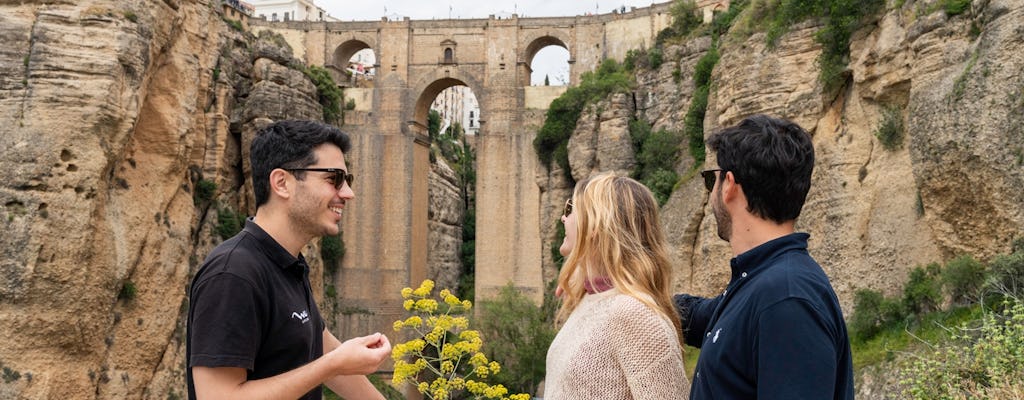Ronda and Olive Oil Tasting Tour from Malaga