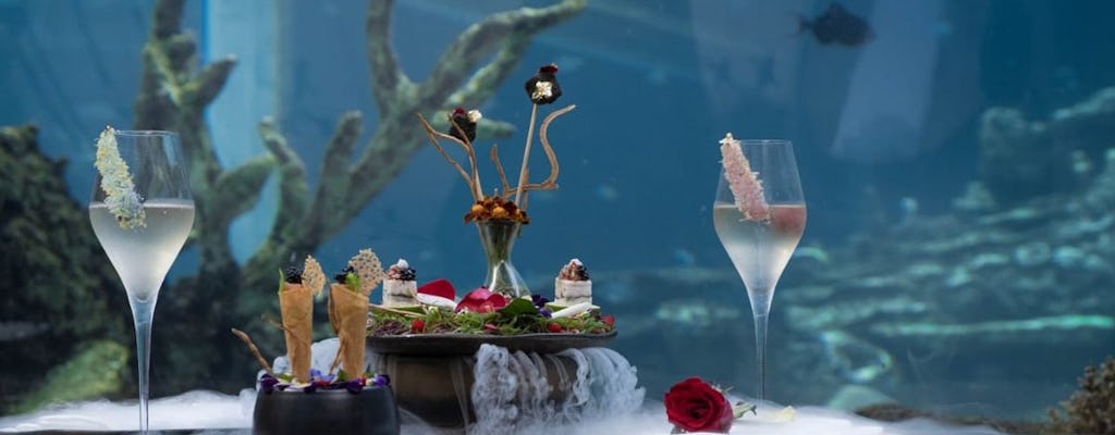 Esperienza di pranzo al Koral Apurva Kempinski