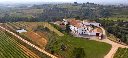 Geführte Tour zu einem Weingut mit Weinprobe aus Barcelona