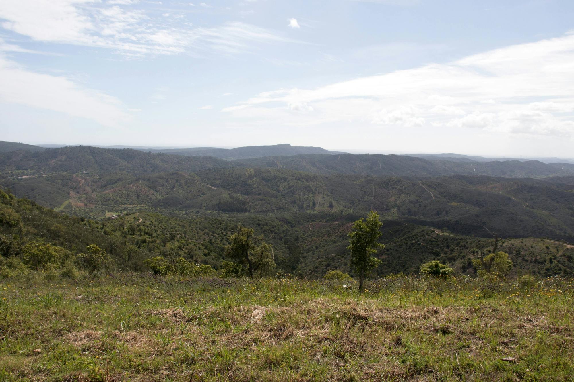 Serra do Caldeirão by 4x4 with Swim Stop and Lunch