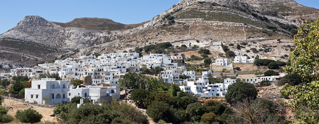 Naxos Island Bus Tour with Damalas and Apiranthos